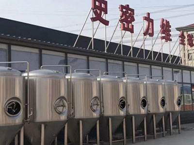 固安精酿啤酒设备厂—市场规模与跨界新需求